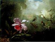 Martin Johnson Heade Cattleya Orchid Three Brazilian Hummingbirds china oil painting artist